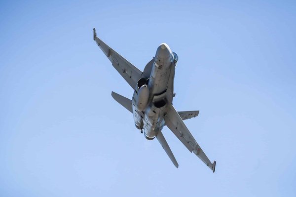 Quel est le prix de vente d'une grume de bois pour le chauffage ?