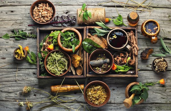 Quelles sont les meilleures variétés de plantes antidouleurs que vous devez connaître impérativement ?