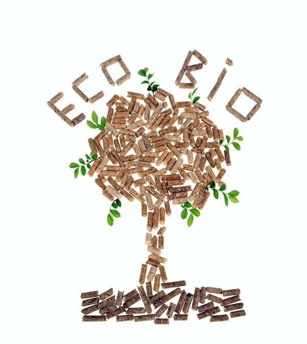 De la presse à pellets au poêle: Comment assurer une source de chauffage 100% verte ?