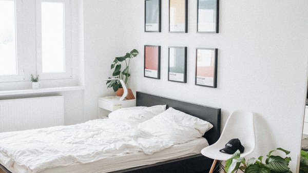 Le traitement professionnel des punaises de lit : Solutions efficaces